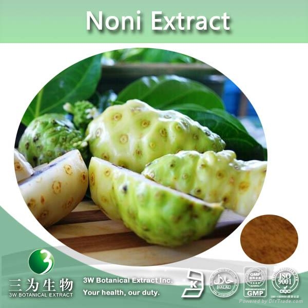 food&medical grade Noni Fruit Extract Powder, Noni Juice Powder (China