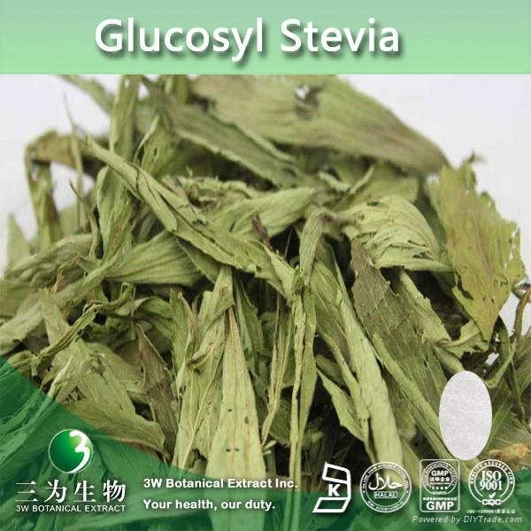 Manufacturer supply high quality Stevia Extract 8090 Steviosides