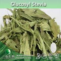 Manufacturer supply high quality Stevia Extract 80~90% Steviosides  2