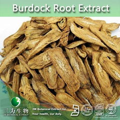 Factory supply Burdock root extract powder Arctiin 30%
