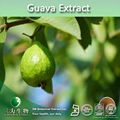 Food and Beverage Industry Guava Juice