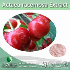 Top Quality 17% 25% Vitamin C from Acerola Cherry Extract