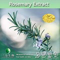 Pure Rosemary Extract Powder Rosmarinic Acid 5%-40%,CAS No.: 20283-92-5 2