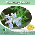 Pure Rosemary Extract Powder Rosmarinic Acid 5%-40%,CAS No.: 20283-92-5 3