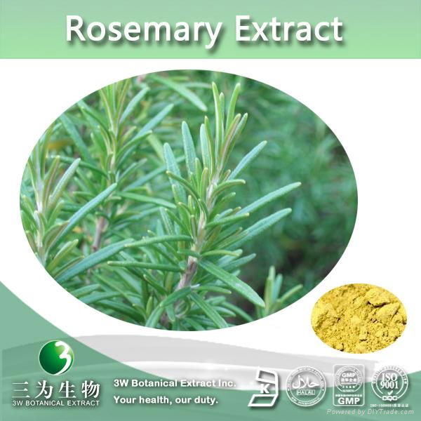 Pure Carnosic acid 5%-60% from Rosemary Extract 