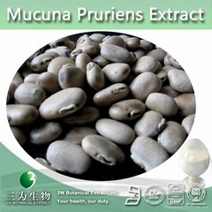 Health Food Mucuna Pruriens Extract Levodopa (L-dopa) 10%~99% HPLC