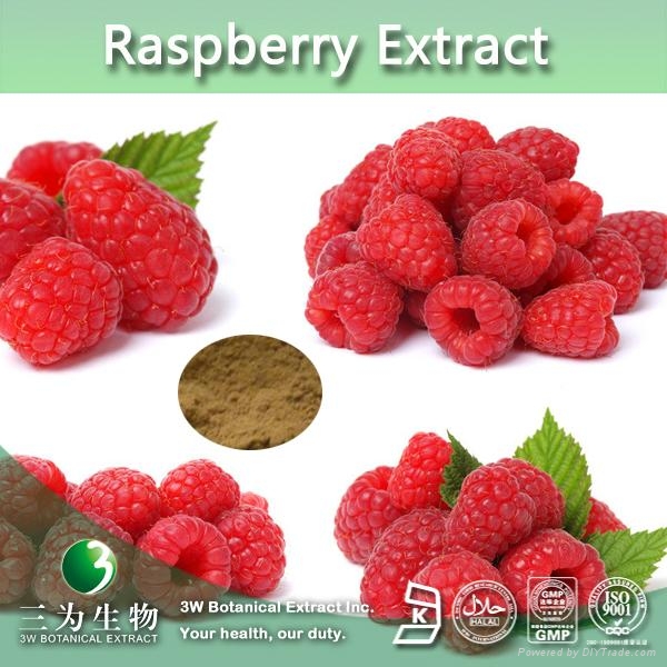 4:1 -20:1 Health Food Raspberry Extract Powder (China Manufacturer ...