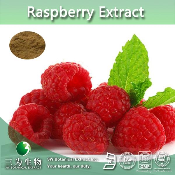 4:1 -20:1 Health Food Raspberry Extract Powder (China Manufacturer ...