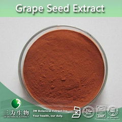 Proanthocyanidins (OPC) 95% UV Grape seed extract powder