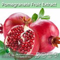 High Quality Pomegranate Extract Ellagic Acid 1