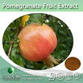 High Quality Pomegranate Extract Ellagic Acid 2