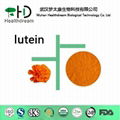 Lutein 10%, 20%, 80% 1