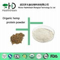 Organic Hemp Protein Powder 1