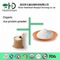 Rice protein powder 1