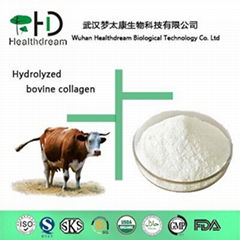 Supply Bovine Collagen Powder