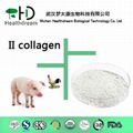 Supply Collagen Powder Type II   Chicken Collagen 1