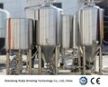 50L beer brewing equipment