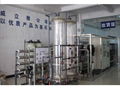 Vliya RO ion exchange water treatment plant 1
