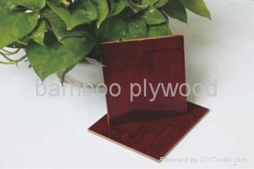 Bamboo plywood for bus floor 2