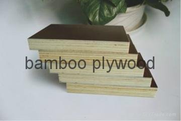 Film faced bamboo plywood 3
