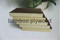 Film faced bamboo plywood 3