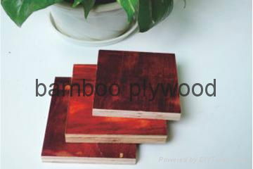 Film faced bamboo plywood 2