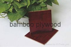 Film faced bamboo plywood