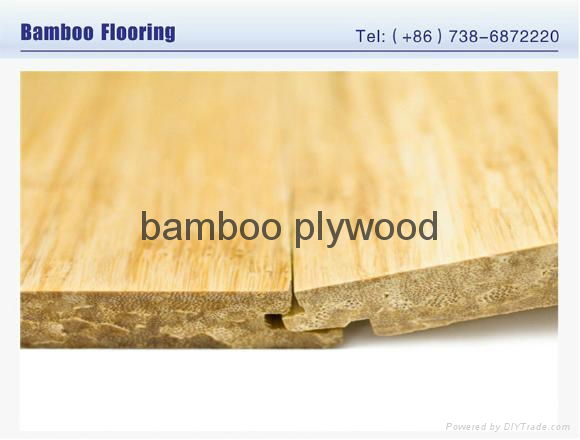 The qualities of nature bamboo flooring