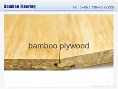 The qualities of nature bamboo flooring