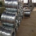 Packing Steel Strip