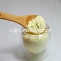 China Supplier Lyophilized Royal Jelly Powder