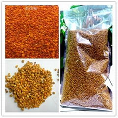 China Provider Natural Bee Pollen Bulk Wholesales