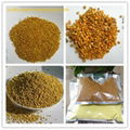China Superfood Health Tea Bee Pollen Wholesales