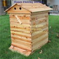 Beekeeping honey bee hive honey automatic flow 7 frames with beehive 