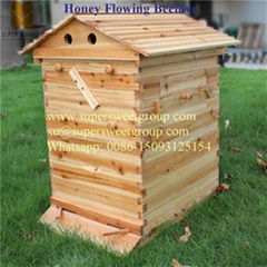 Beekeeping honey bee hive honey automatic flow 7 frames with beehive 