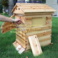 Beekeeping honey bee hive honey automatic flow 7 frames with beehive 