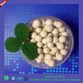 molecular sieve 3A for adsobent &desiccant 2