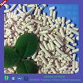 molecular sieve 3A for adsobent