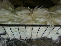 Sisal Fibre