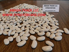 ABADA Trade LLC