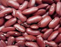 kidney bean 1