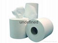 Spunlace non woven fabric, Since 1986 