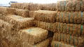 COCONUT FIBER 1