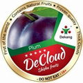 Plum DoOkah