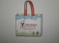 hot sale pp retail plastic shopping bag 5