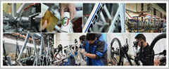 Tianjin King Of Birds Bicycle Technology Co,.Ltd