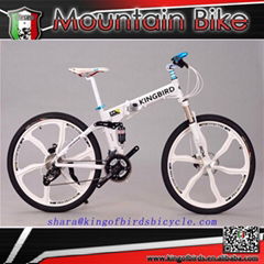 2015 new style mountain bike for men