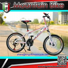 mini mountain bike 2015 new style mtb for women