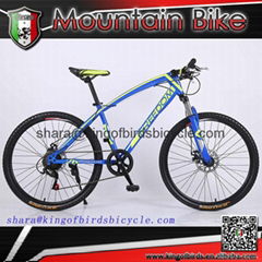 made in china classical mountain bike steel frame mtb