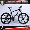 new design mountain bike with 6 spoke